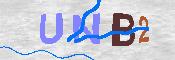 キャプチャ画像