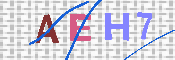 キャプチャ画像
