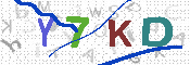 キャプチャ画像