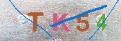 キャプチャ画像