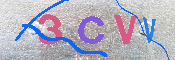 キャプチャ画像