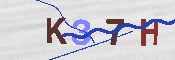 キャプチャ画像