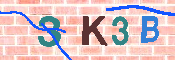 キャプチャ画像