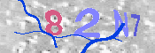 キャプチャ画像