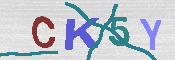 キャプチャ画像