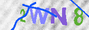 キャプチャ画像