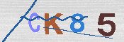 キャプチャ画像