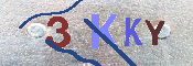 キャプチャ画像