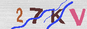 キャプチャ画像