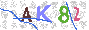 キャプチャ画像