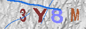 キャプチャ画像