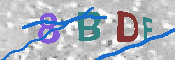 キャプチャ画像