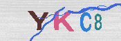 キャプチャ画像