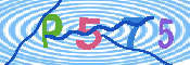 キャプチャ画像