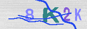 キャプチャ画像