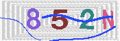 キャプチャ画像