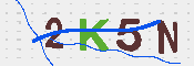 キャプチャ画像