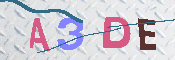 キャプチャ画像