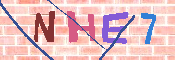 キャプチャ画像