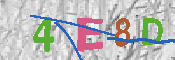 キャプチャ画像