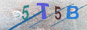 キャプチャ画像