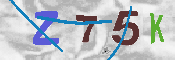 キャプチャ画像