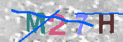 キャプチャ画像