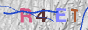 キャプチャ画像
