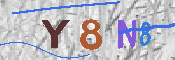 キャプチャ画像