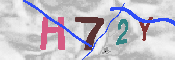 キャプチャ画像