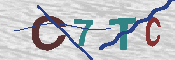 キャプチャ画像