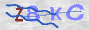 キャプチャ画像