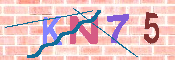 キャプチャ画像