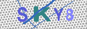 キャプチャ画像