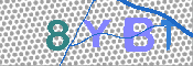 キャプチャ画像
