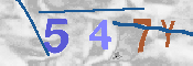 キャプチャ画像