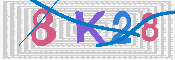 キャプチャ画像