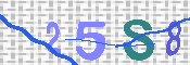 キャプチャ画像