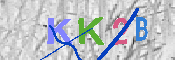 キャプチャ画像