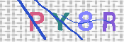 キャプチャ画像