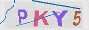 キャプチャ画像