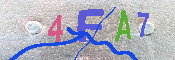 キャプチャ画像