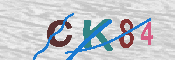 キャプチャ画像