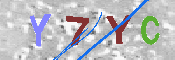 キャプチャ画像