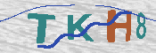 キャプチャ画像