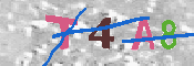 キャプチャ画像