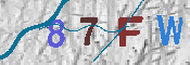 キャプチャ画像