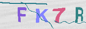 キャプチャ画像