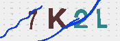 キャプチャ画像