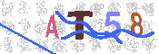 キャプチャ画像